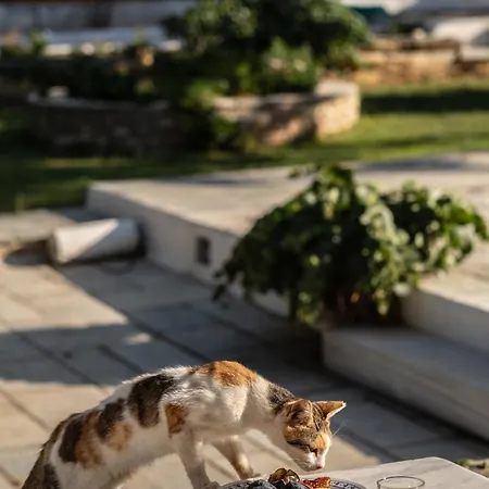 Ferienhaus Garden House, 50 M From The Beach, Tinos