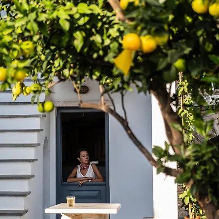 Garden House, 50 M From The Beach, Tinos * Agios Romanos